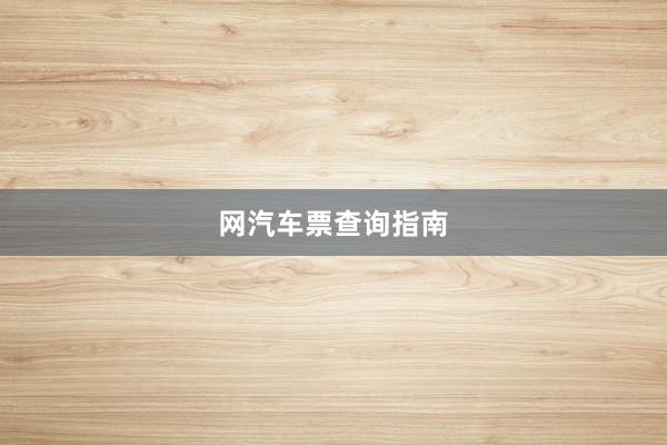 网汽车票查询指南