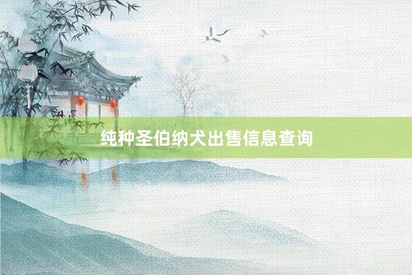 纯种圣伯纳犬出售信息查询