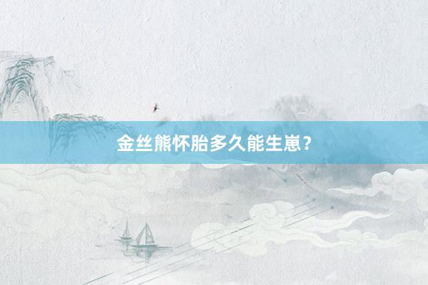 金丝熊怀胎多久能生崽？