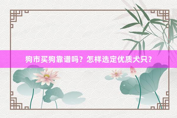 狗市买狗靠谱吗？怎样选定优质犬只？
